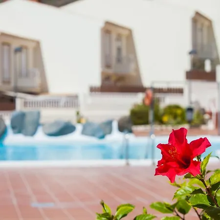 Villa Luxury Ocean View Giovanna In Chayofa Las Americas Playa de las Americas (Tenerife)