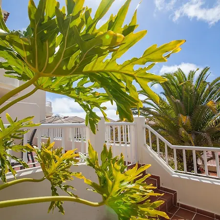Luxury Ocean View Giovanna In Chayofa Las Americas Villa *